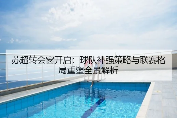 苏超转会窗开启：球队补强策略与联赛格局重塑全景解析