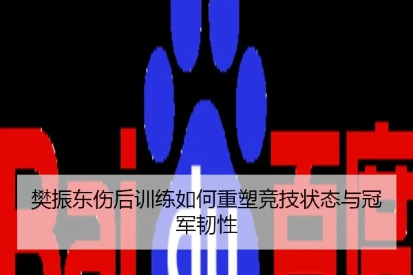 樊振东伤后训练如何重塑竞技状态与冠军韧性