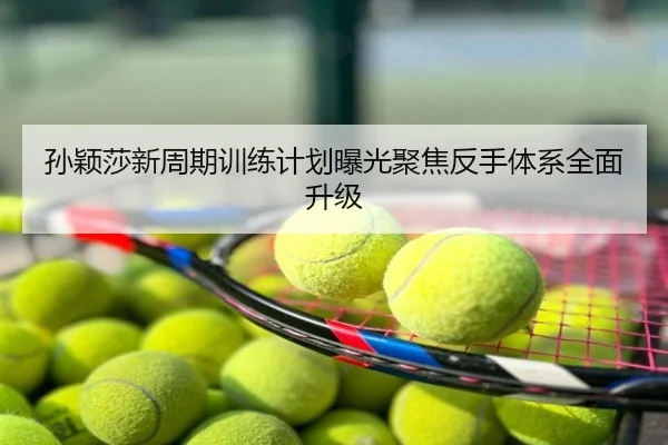 孙颖莎新周期训练计划曝光聚焦反手体系全面升级