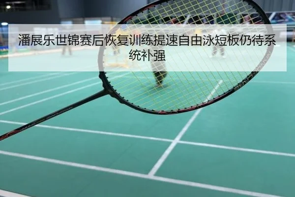 潘展乐世锦赛后恢复训练提速自由泳短板仍待系统补强